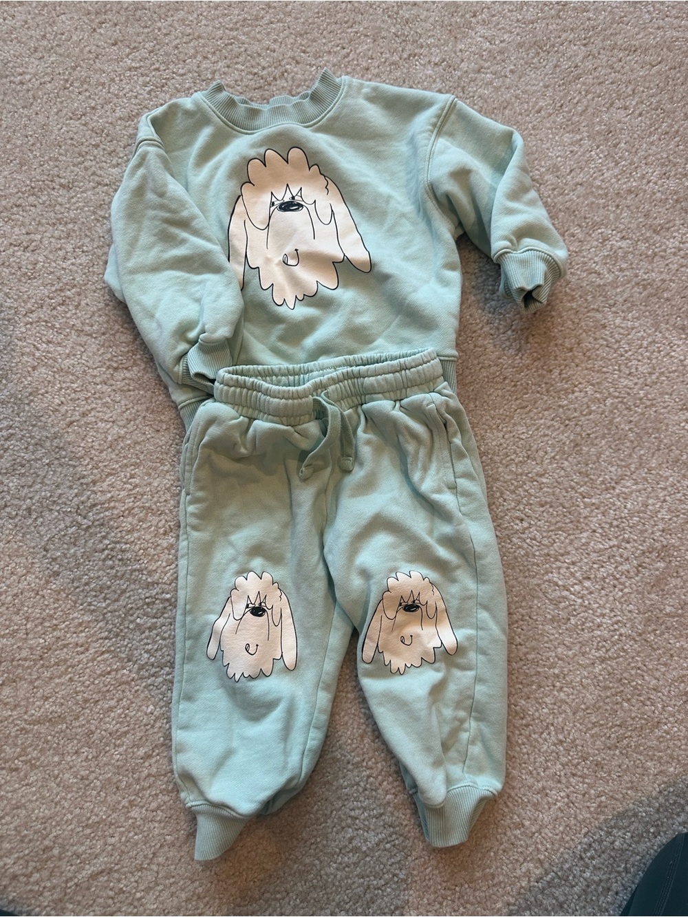 H&M Mint Green Dog Graphic Sweatshirt & Joggers